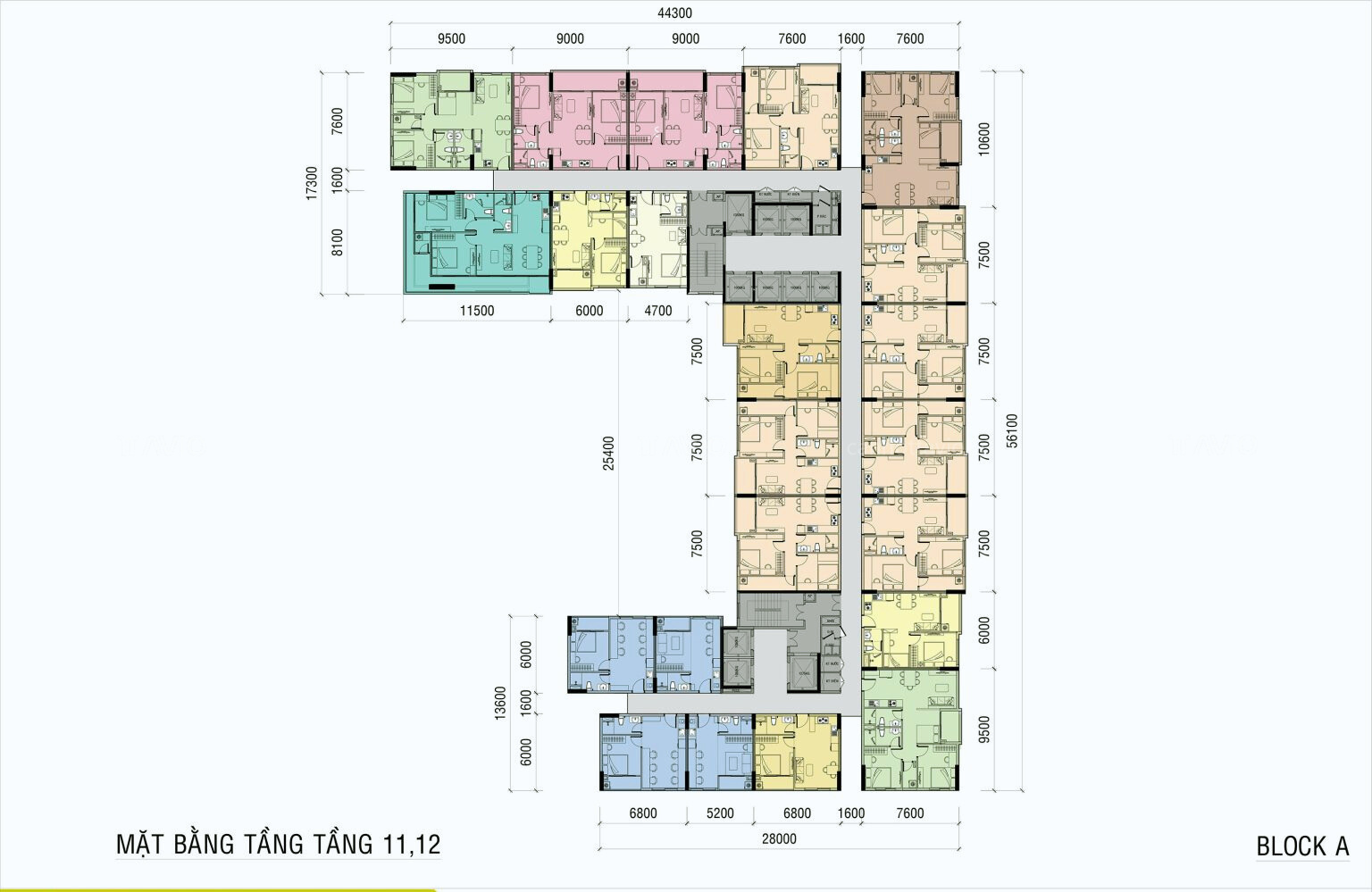 Mặt Bằng Tầng 11, 12 Block A ở Ava Center