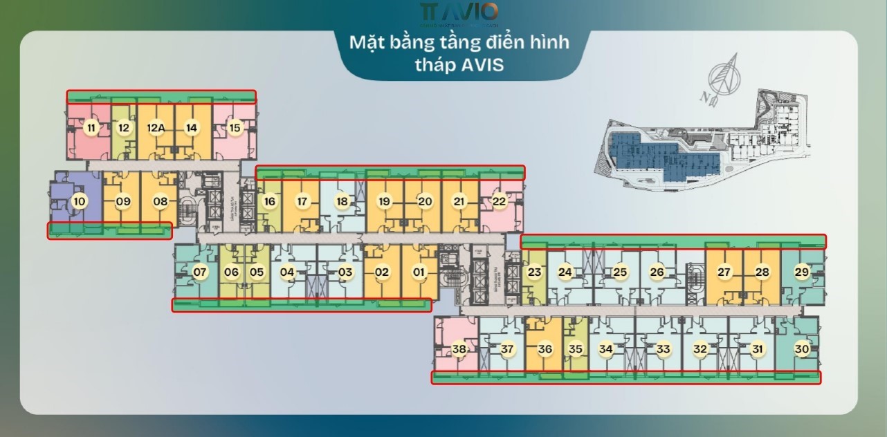 Mặt Bằng Tầng Căn Hộ điển Hình Tháp Avis Dự án Tt Avio